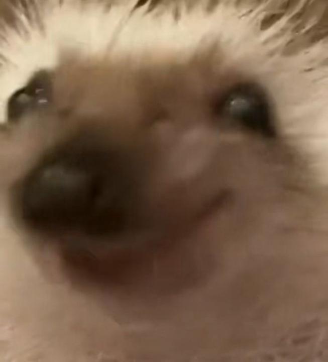 Marco Olvera Espinoza