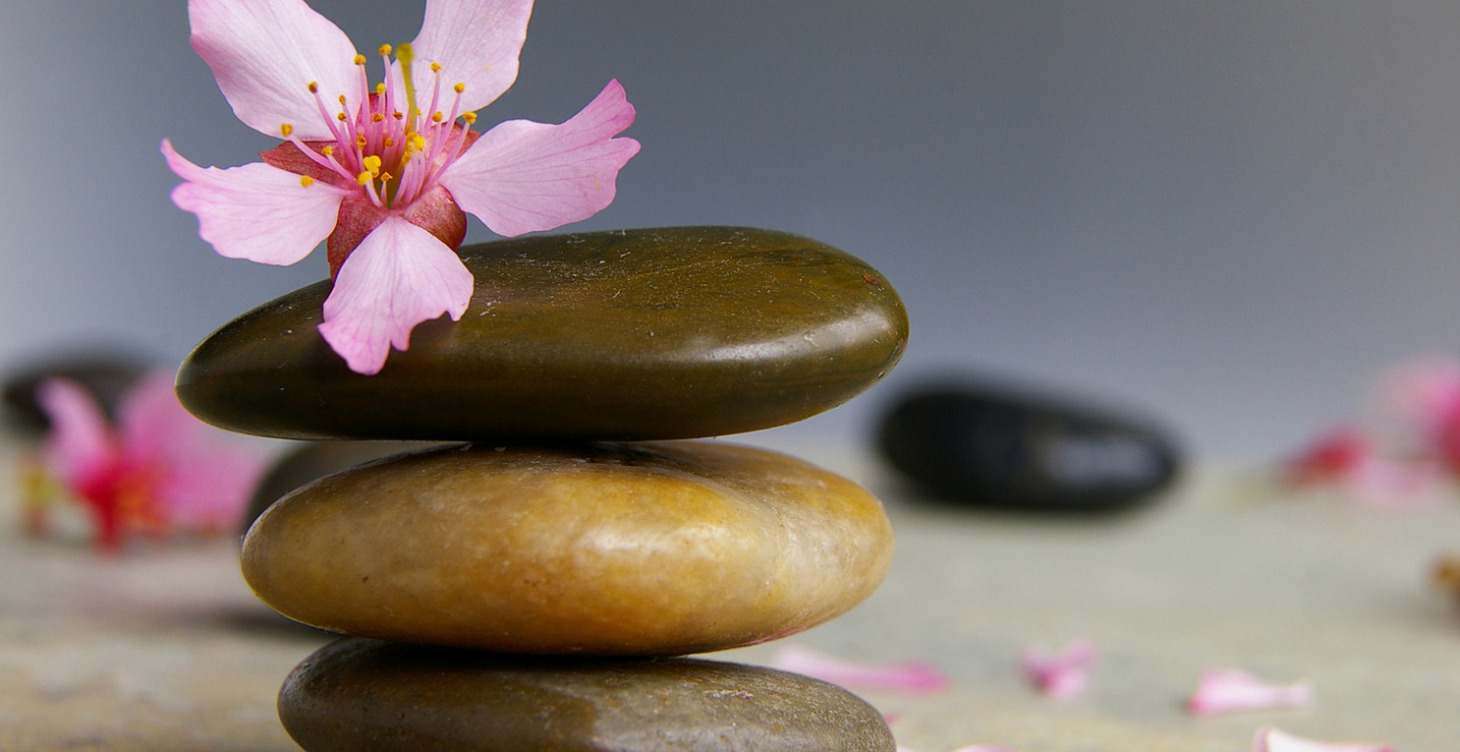 6-Week Fertility Masterclass Series