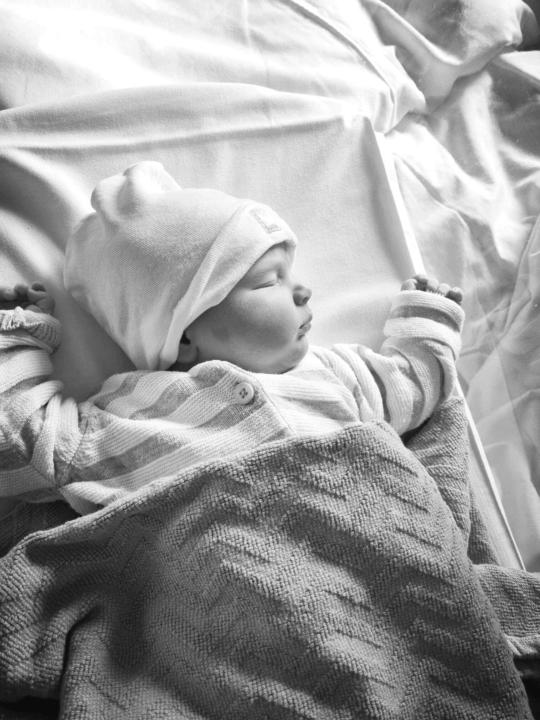 Warmly welcoming Áine to our world, straight from the heart of Ireland. 🍀