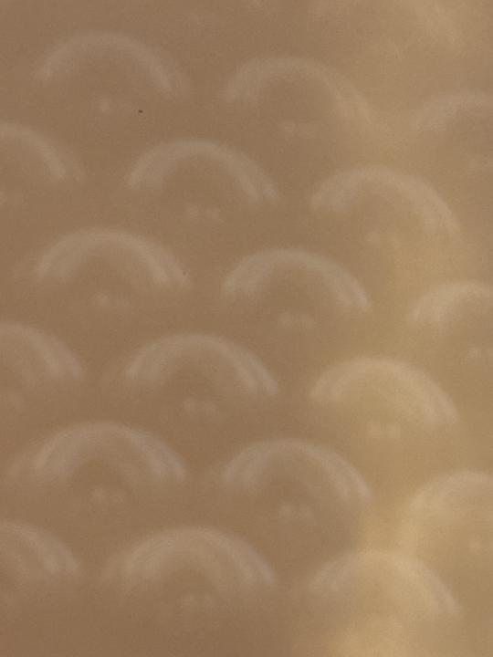 X P.