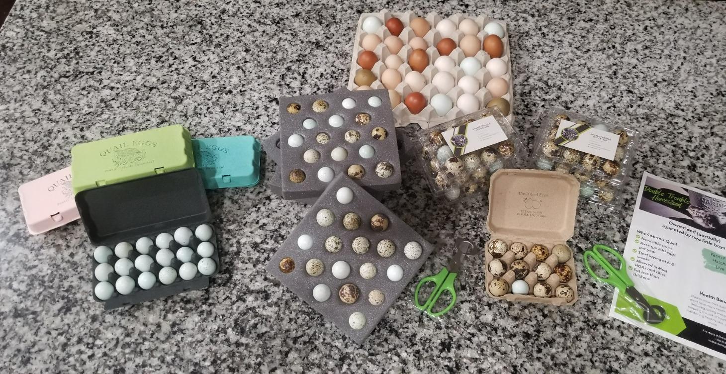 Hobby or Business Quiz