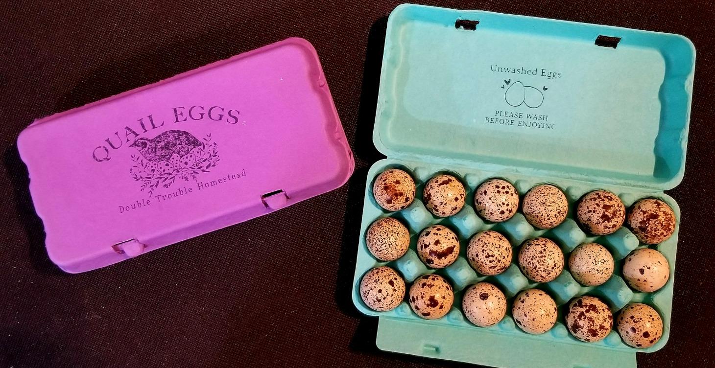 Make Money with Quail