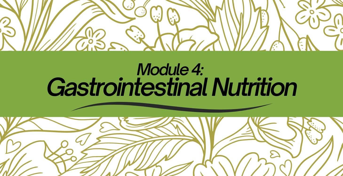 Gastrointestinal Nutrition
