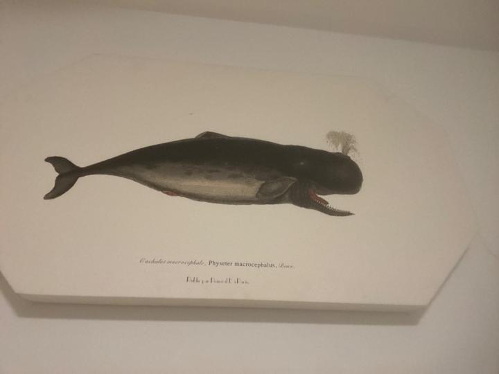 Fatima y Sergio Jimenez