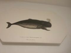 Fatima y Sergio Jimenez