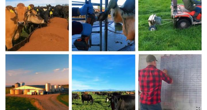 NZ Dairy Systems & Careers ✅