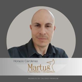 Horacio Cárdenas Arzate