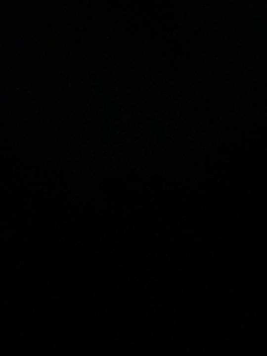 Vanessa Ho yorck krui