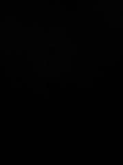 Vanessa Ho yorck krui