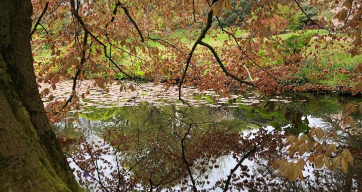 Neurodivergents in Nature