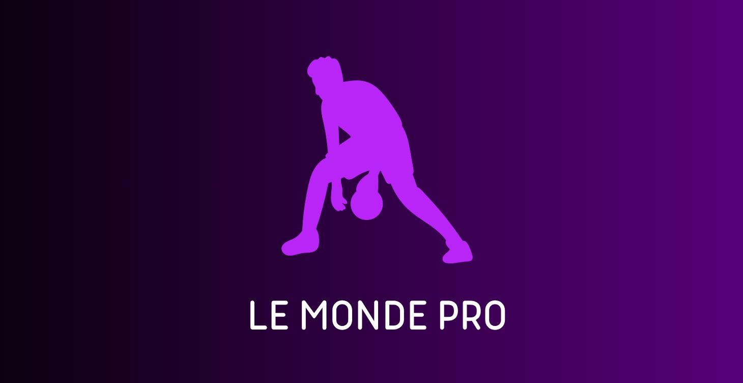LE MONDE PRO