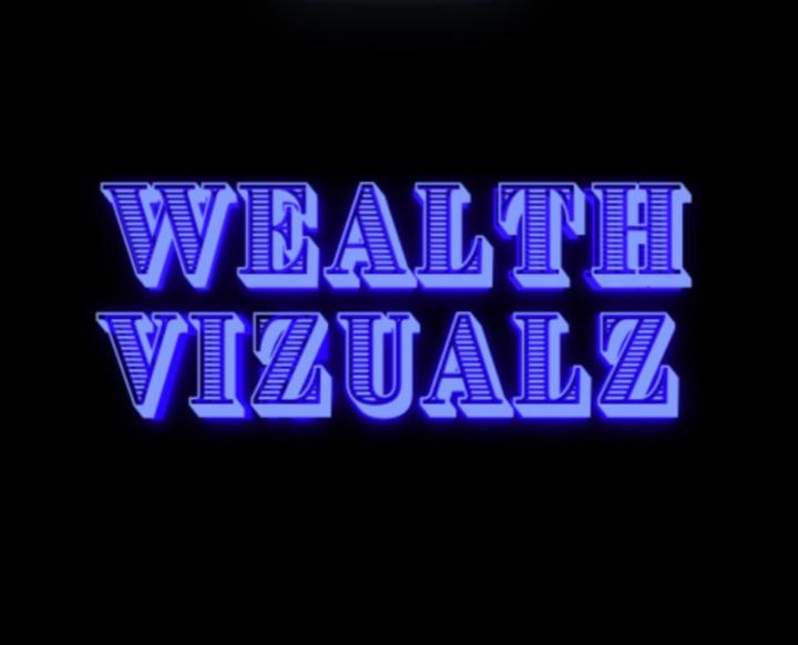 Wealth Vizualz