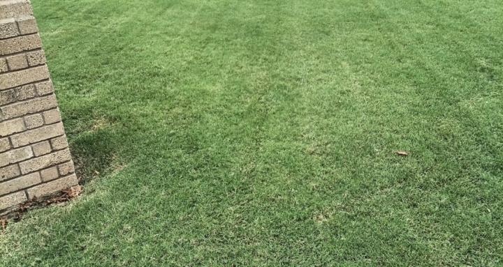 Bws landscaping