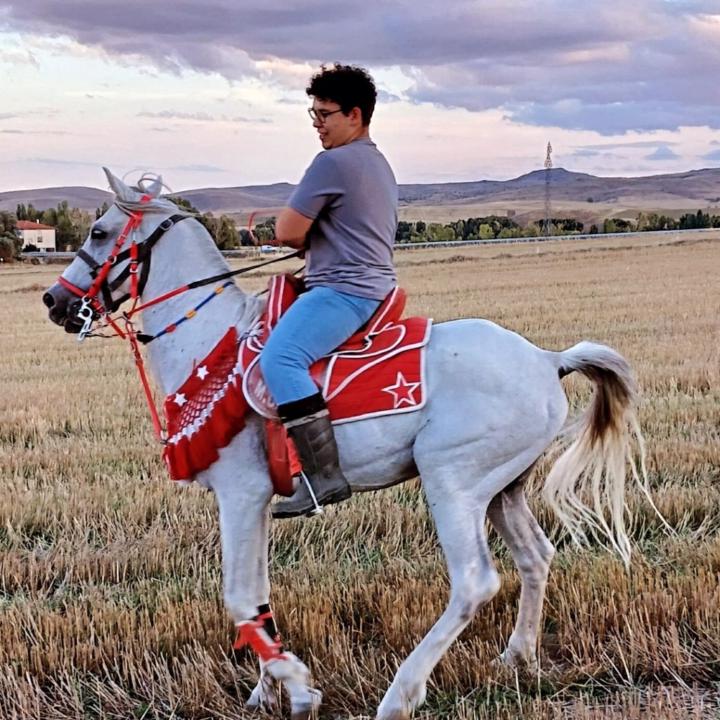 Güray Yücel