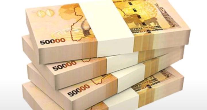 Tulinawe Earnings