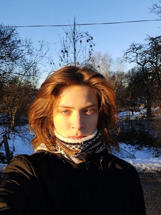Kārlis Caune