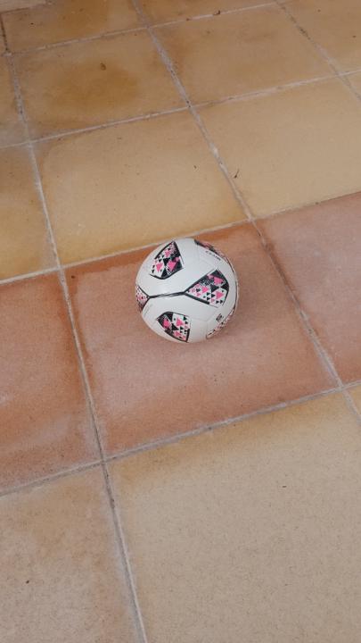 Furtado meddah Issam