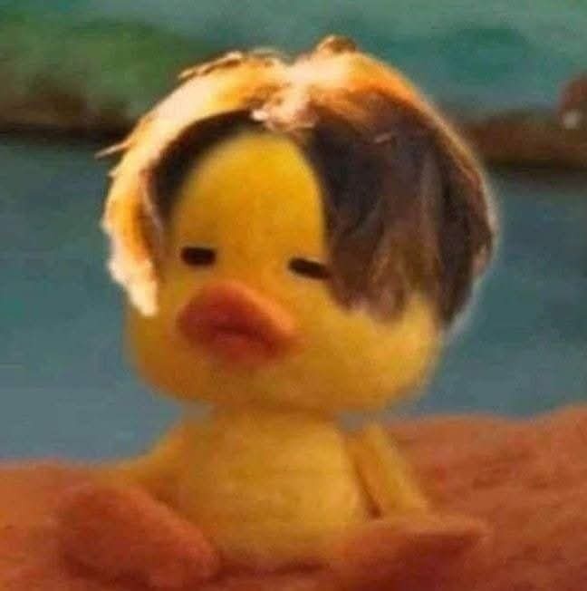 Nguyễn Hải Việt