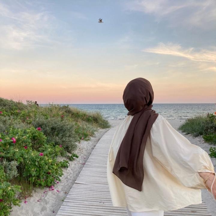 Elif hamide Karasakal