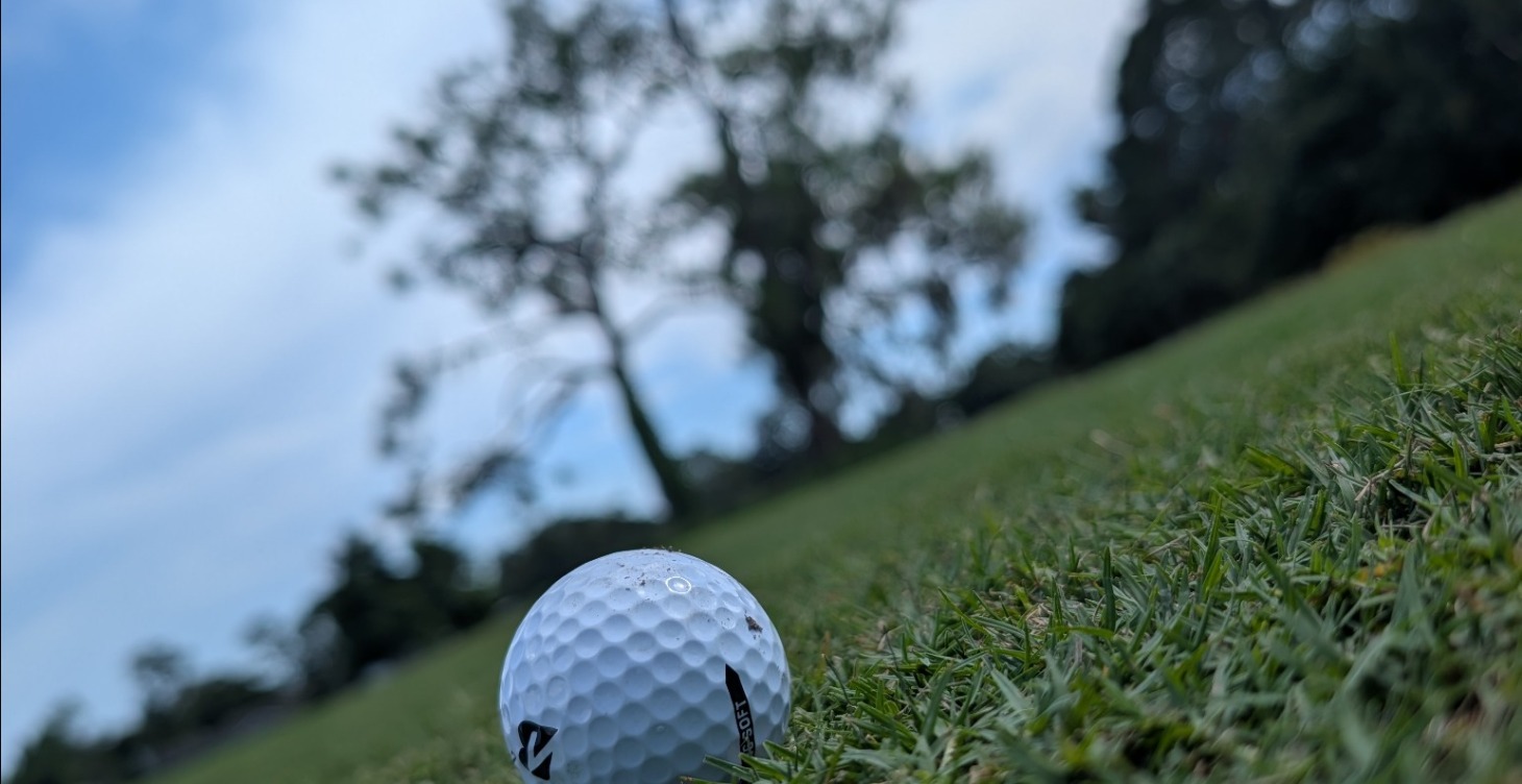 Bogey Free Body Blueprint