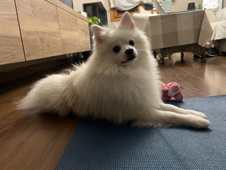 Gemma Garcia fernandez