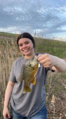Taylor Herrbold