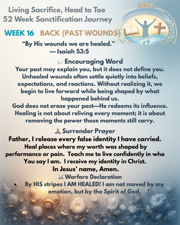 Week 16 Day 2- THE BACK
