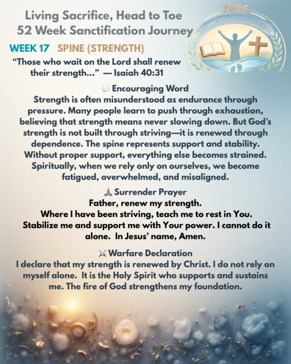 Week 17 Day 1- The Spine/Strength