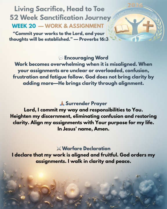 I didn’t forget!! Week 20 Work & Assignment