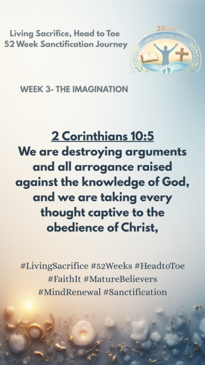 Week 3 Day 4 The Imagination