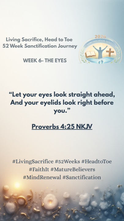 Week 6 Day 4 -THE EYE