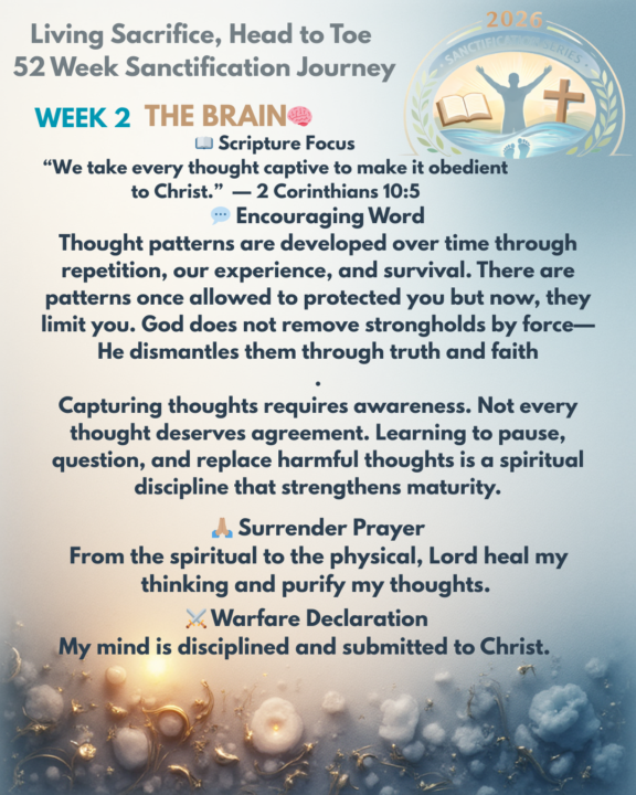 Week 2- The BRAIN