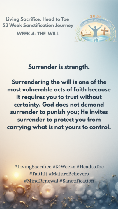 Week 4 Day 2 The Will