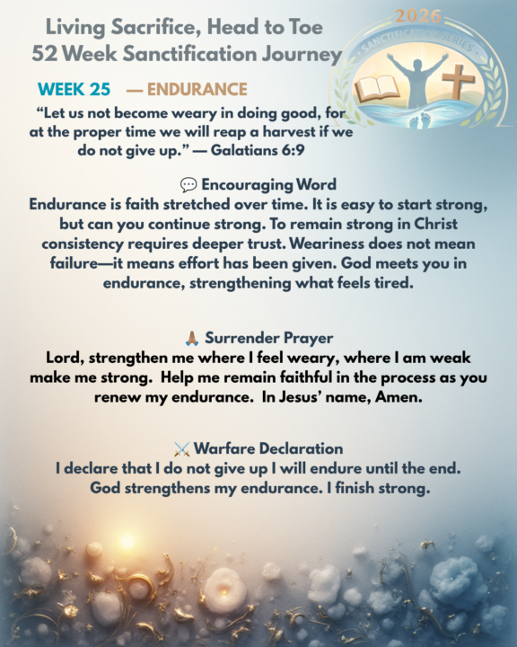🔥Week 24- Endurance 