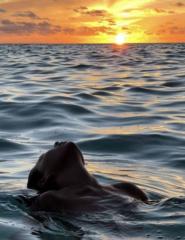 Aesthetic Avancée paris