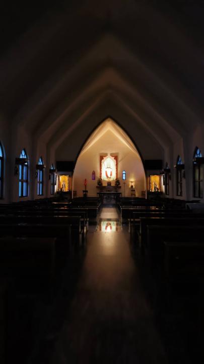 💫 450道光：在 OMG，我們一起照亮彼此