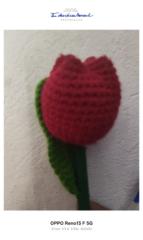 Raquel Neria Santiago