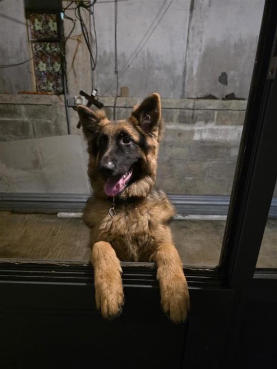 Jaiyesh Khanahya sawkee