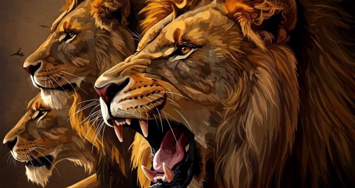 ROAR Christian Divorced Men