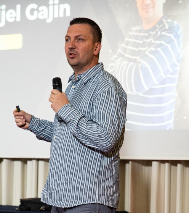 Danijel Gajin