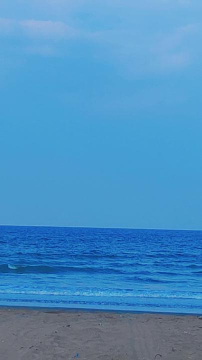 محمد الريامي