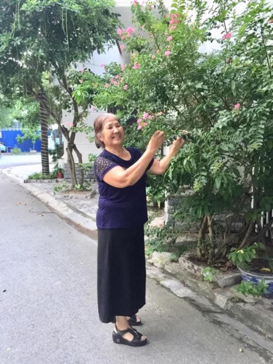 Lê Vần