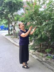 Lê Vần
