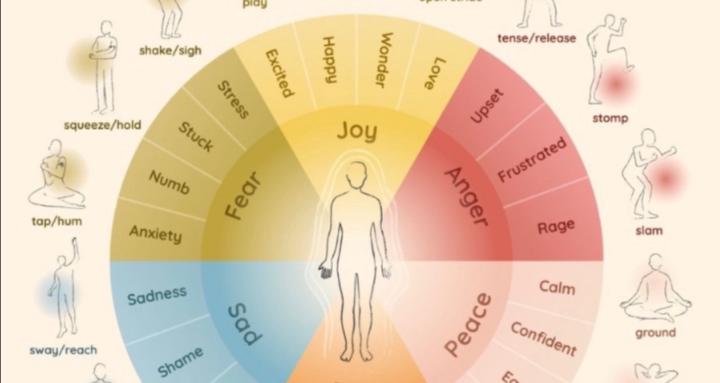 Embodied Mindful Life