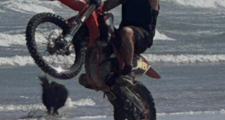 Lawns dirt bikes and chainsaws