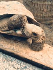 Álvaro López Florido