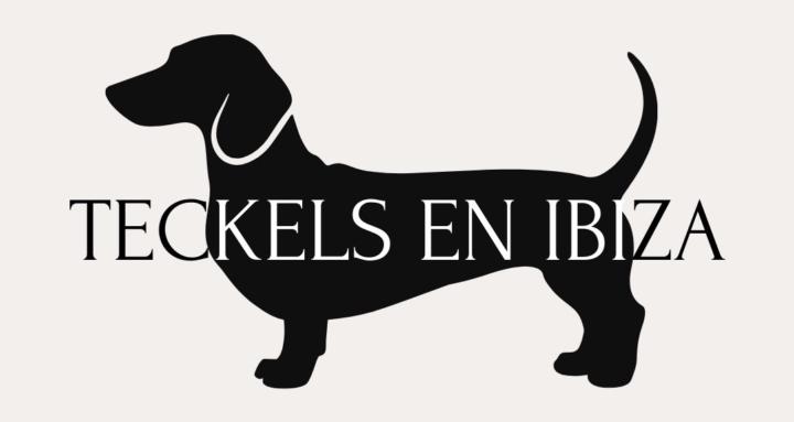 Teckels en Ibiza