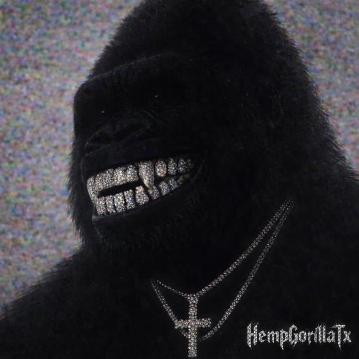 Hemp Gorilla