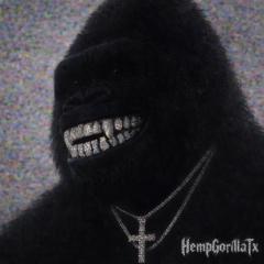Hemp Gorilla