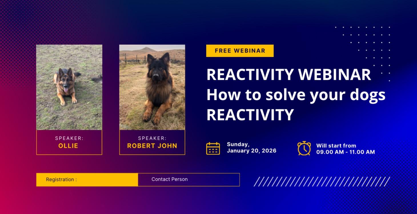 REACTIVITY WEBINAR: HOW TO WORK THROUGH REACTIVITY